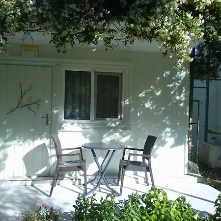 Fistikli Cicekevler Tatil Koeyue Armutlu